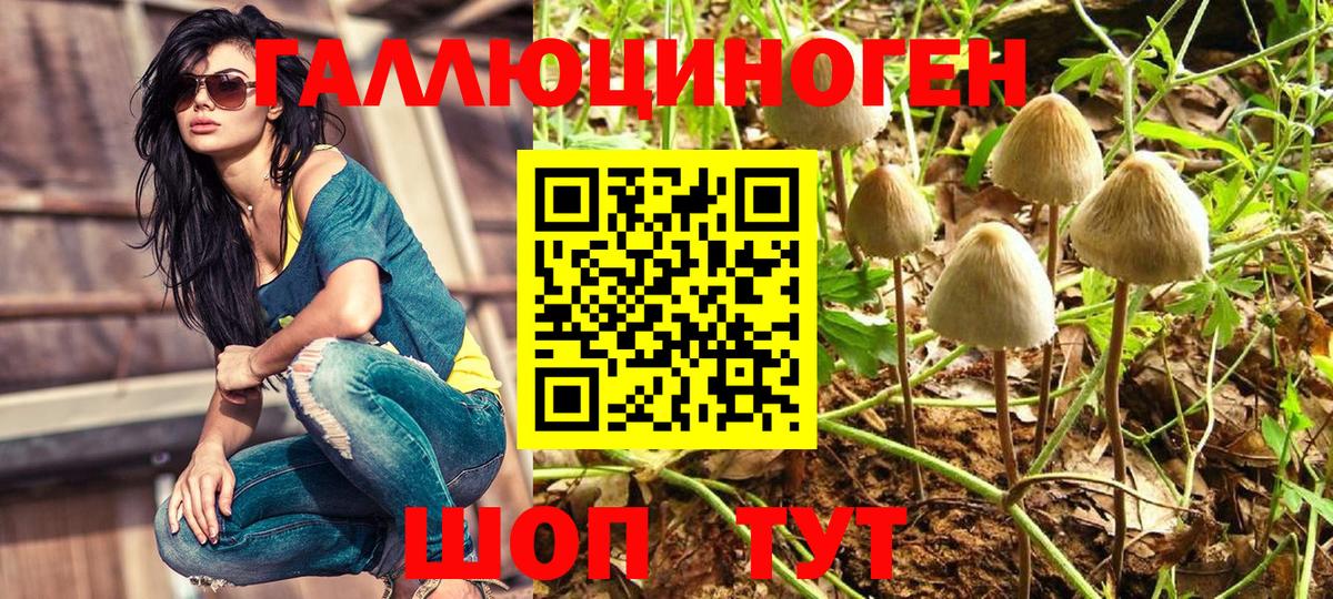 Галлюциногенные грибы мухоморы  где продают наркотики  Гатчина  Вход с VPN 
